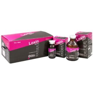 loxin injection