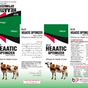 heaatic optimizer