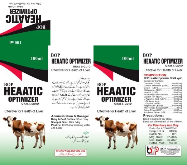 heaatic optimizer