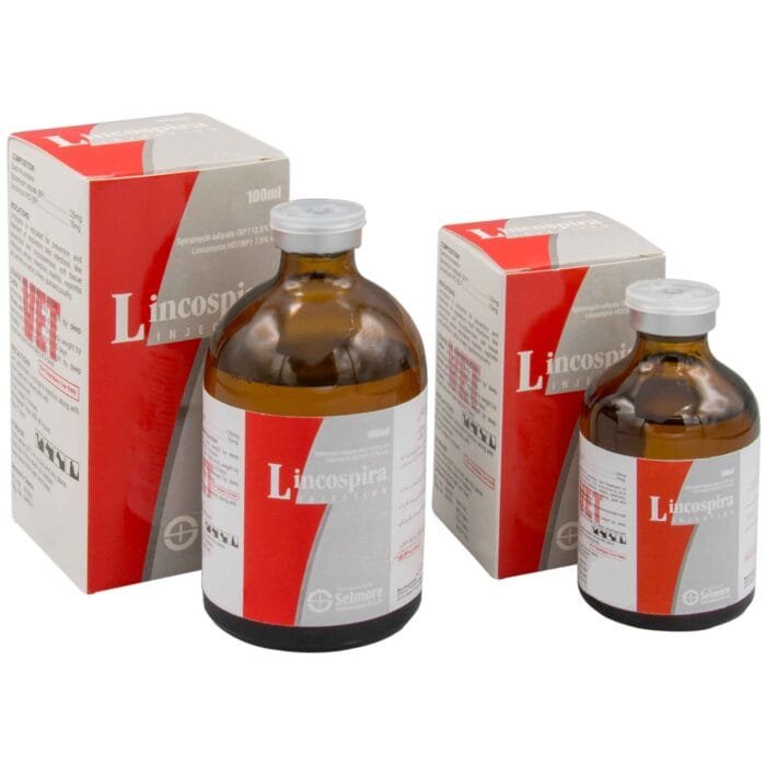 lincospira lincospira