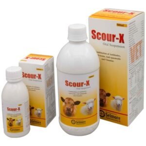neflox (copy)