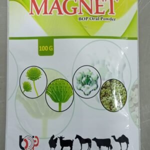 magnet