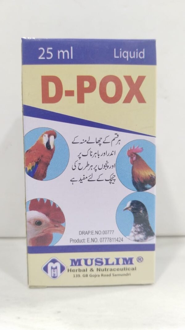 sokra desies (copy)